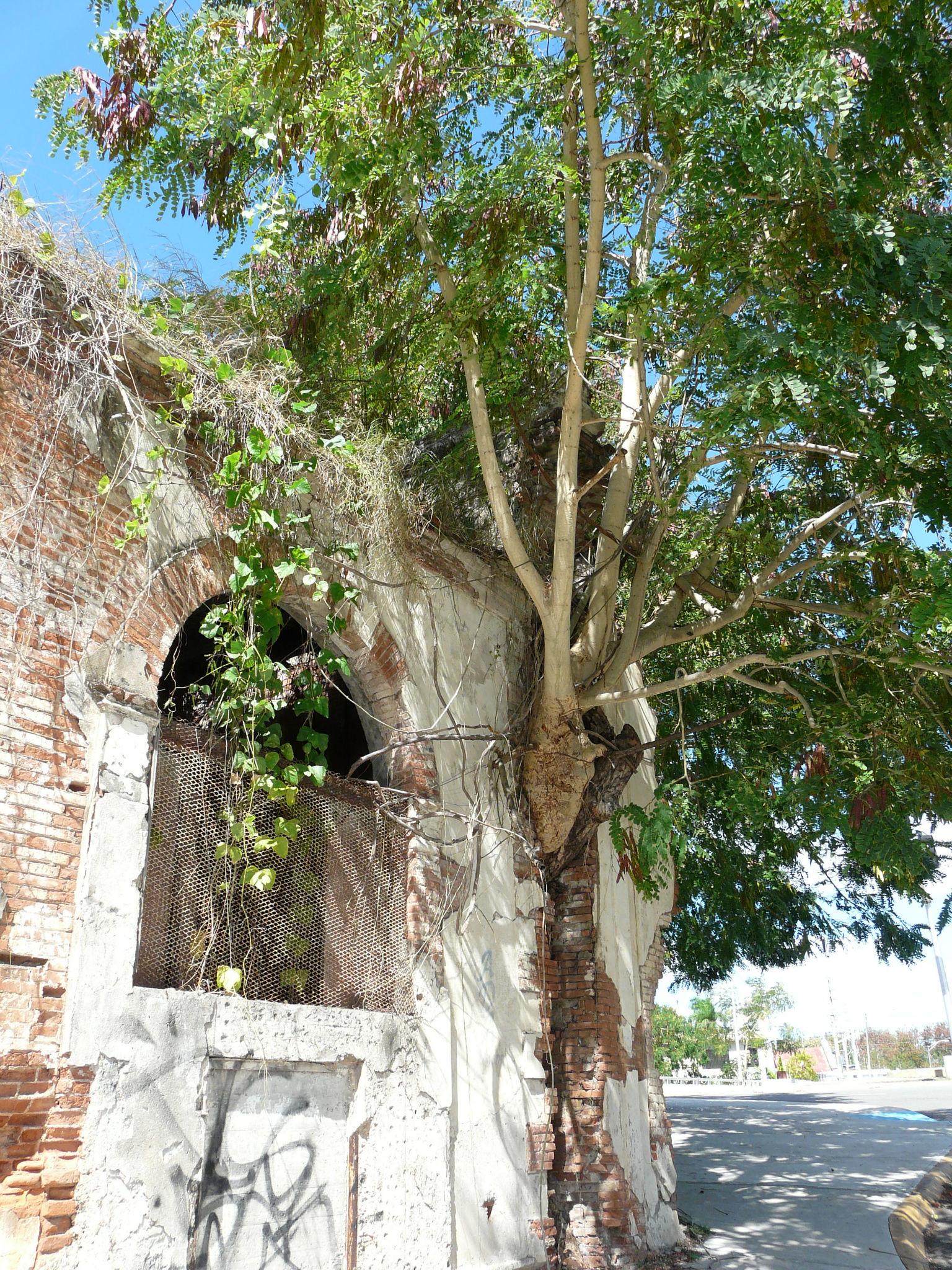Edificio abandonado en la Avenida González Clemente - Ponce - 2012 00014